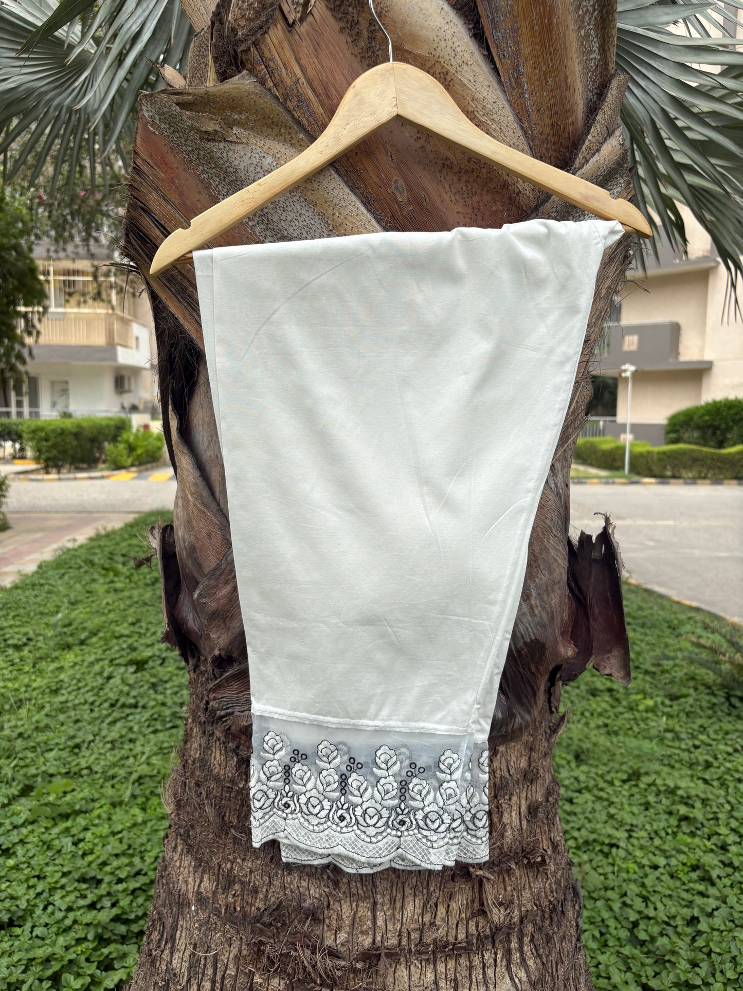 White Plazo with tissue border